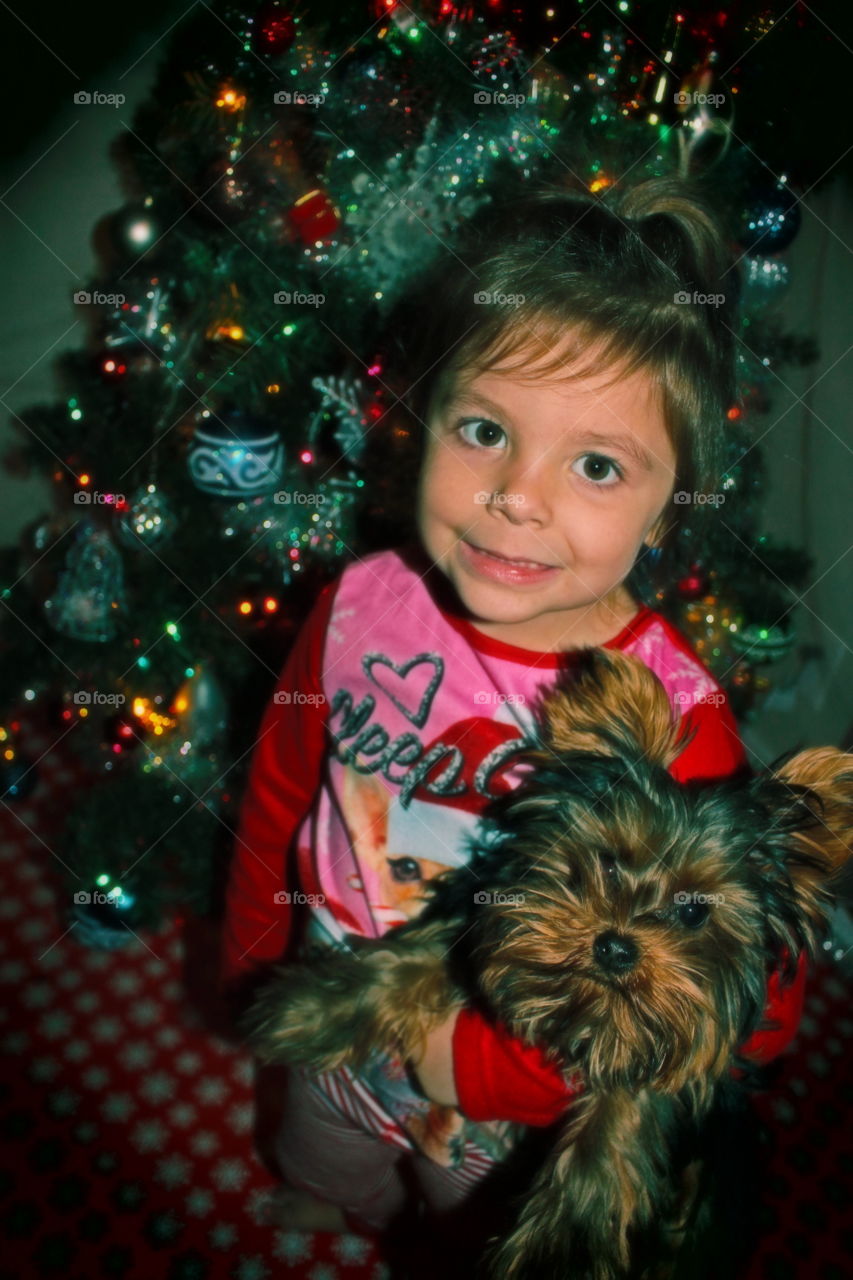 Portrait, Christmas, One, Cute, Child
