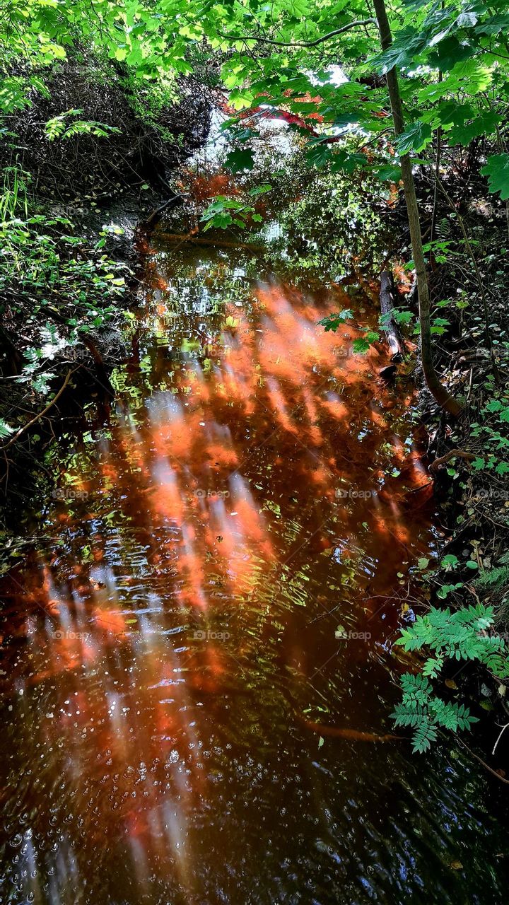 Sunlight in water