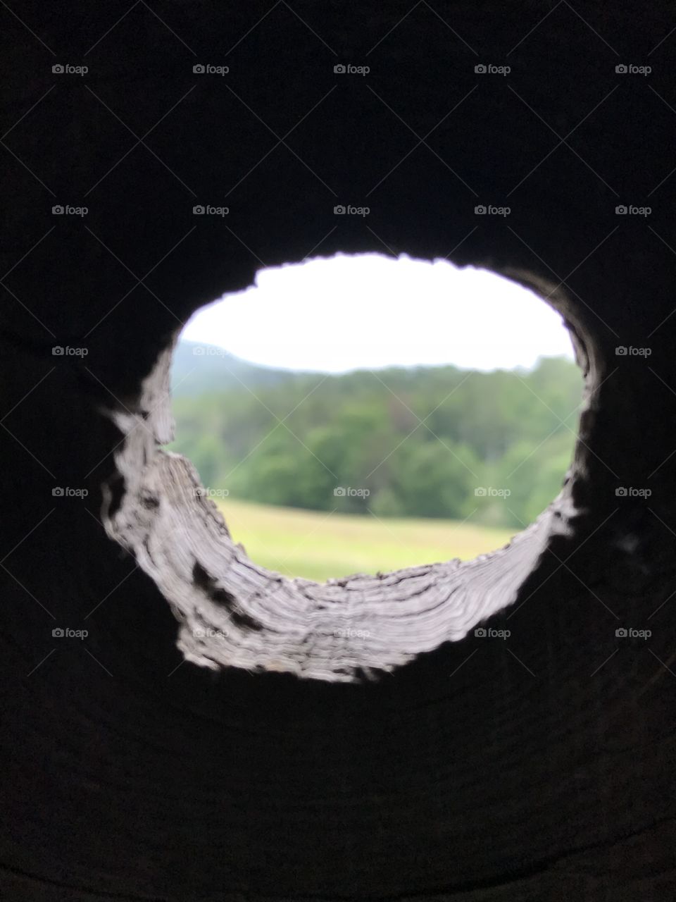 Looking through a knot hole in a rustic old barn