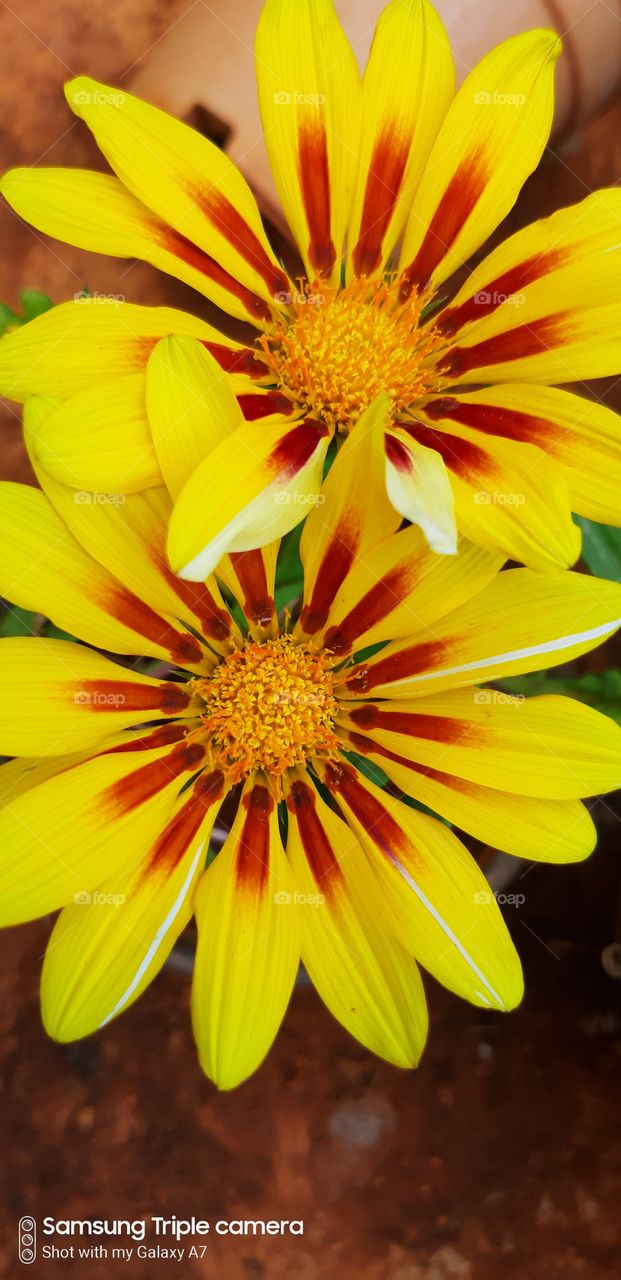 best colour of combination