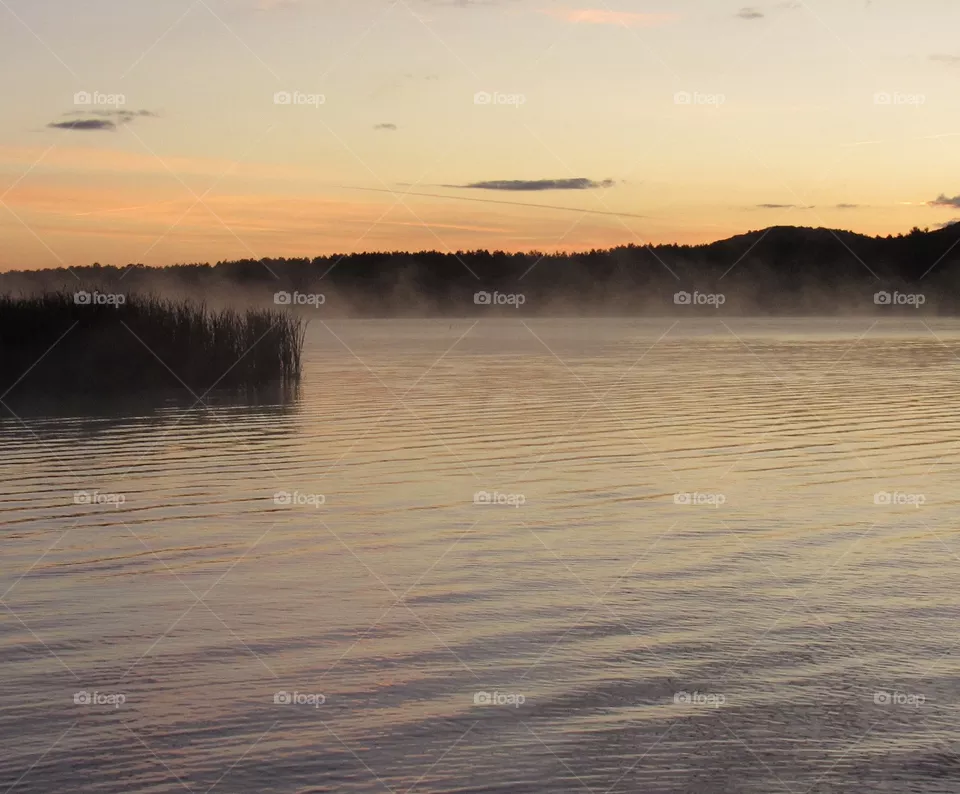 Fog off a lake