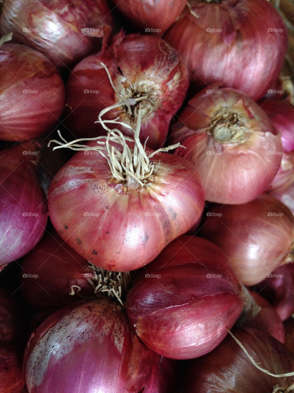 Red onion. Red onion