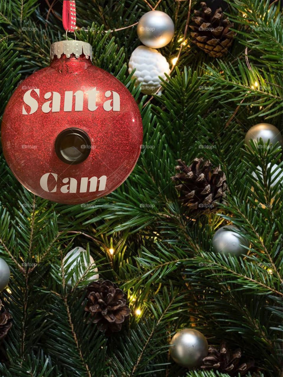 Santa cam