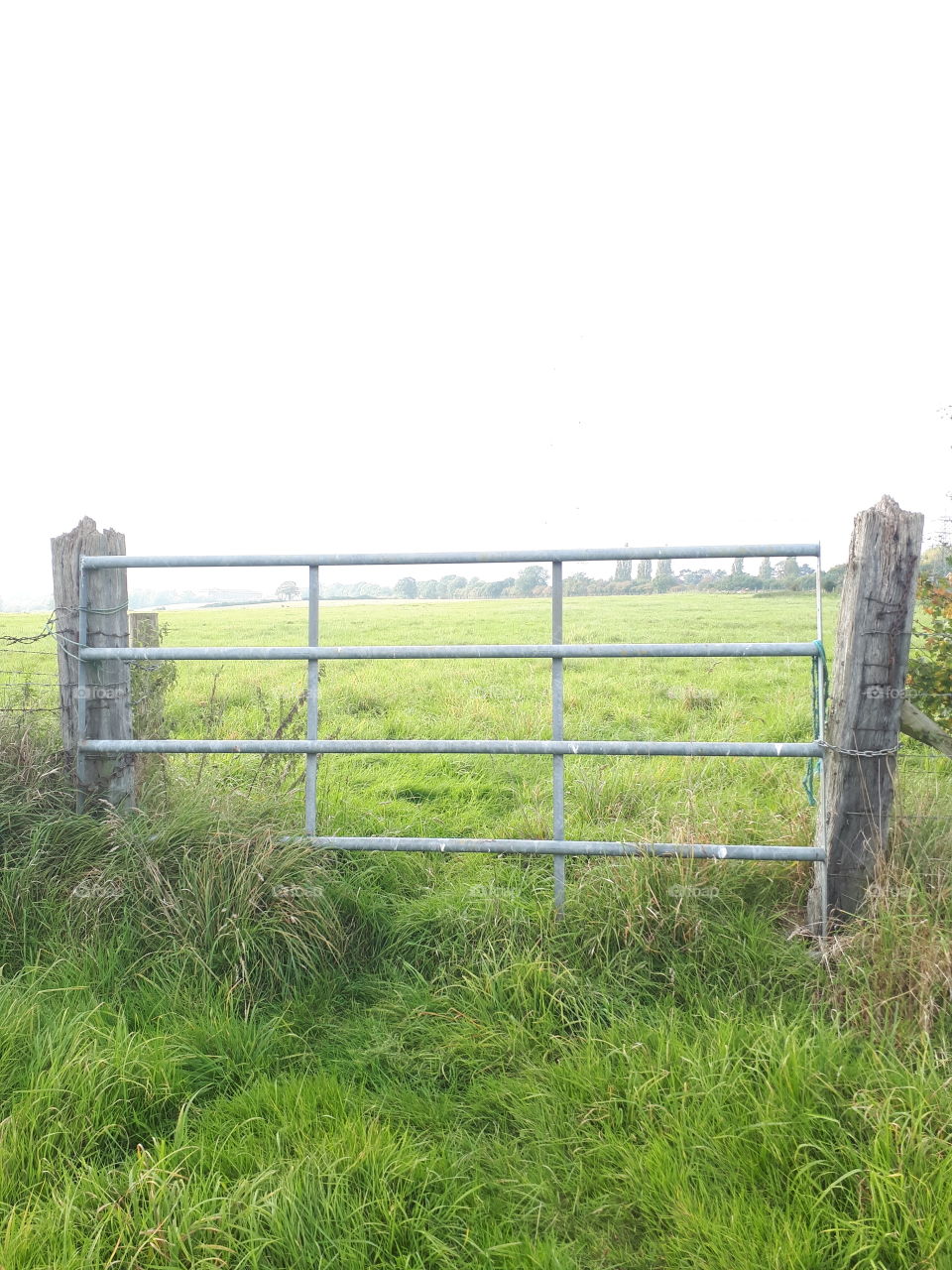 Metal Gate