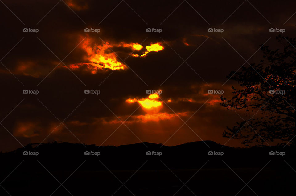 background dark tree sunset by fotomats