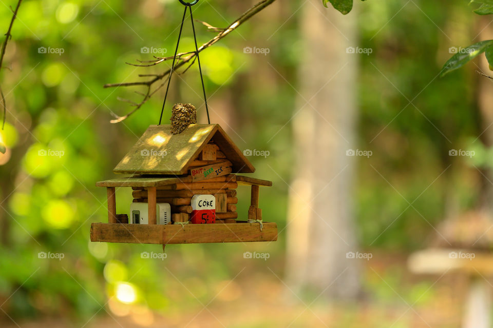 Bird Hotel. This hotel is available for migrating smaller birds. It is free for any bird and comes with bed and breakfast! 