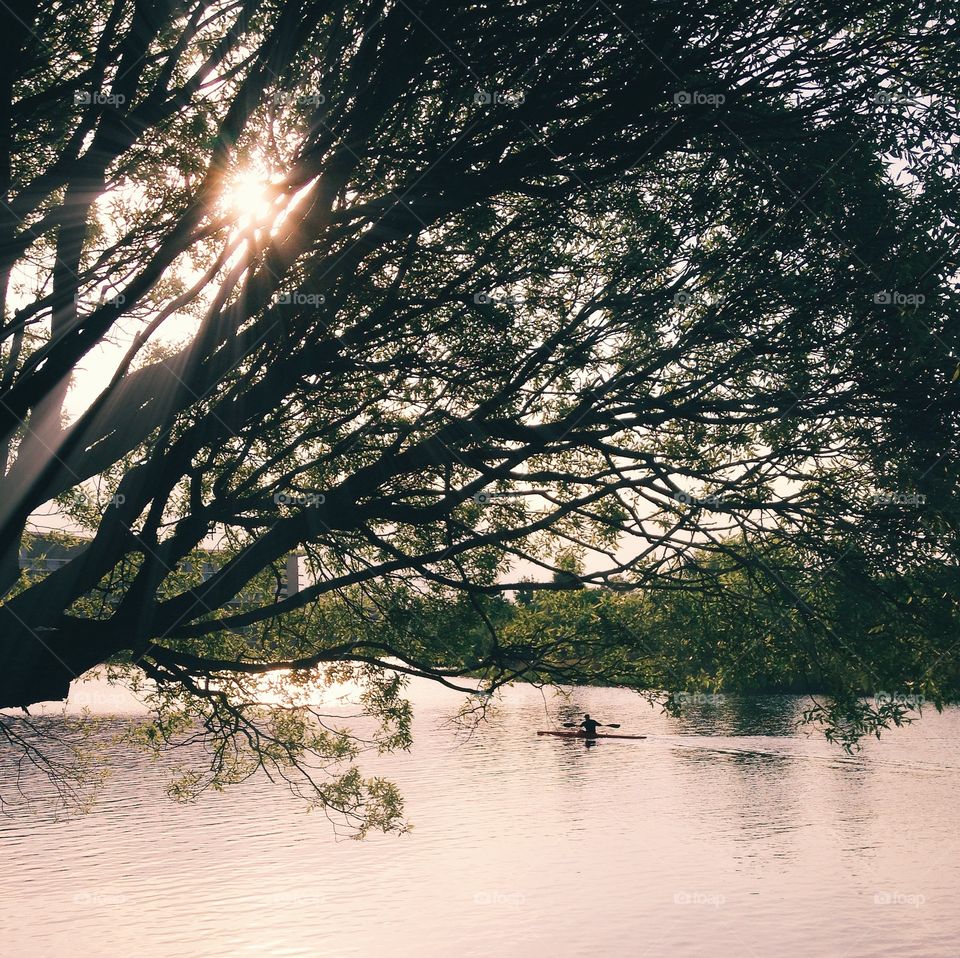 Scenic view of lake