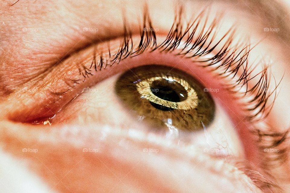 Close-up of human eye