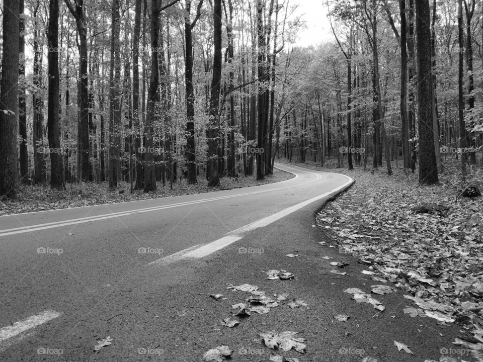 Coopers Rock, West Virginia