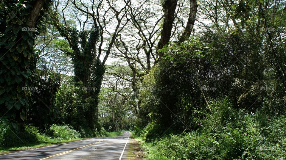Big Island of Hawaii