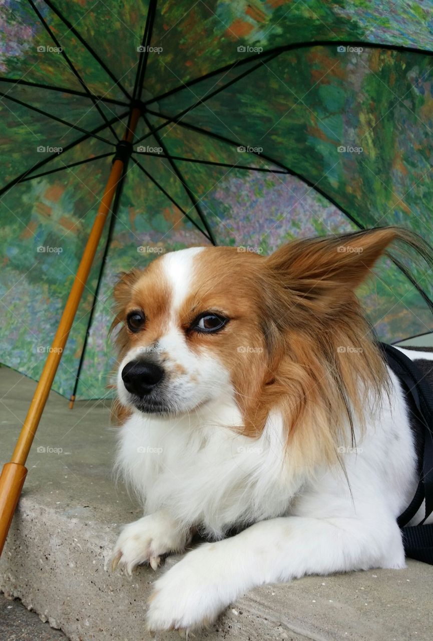 I sure wish this rain would stop!