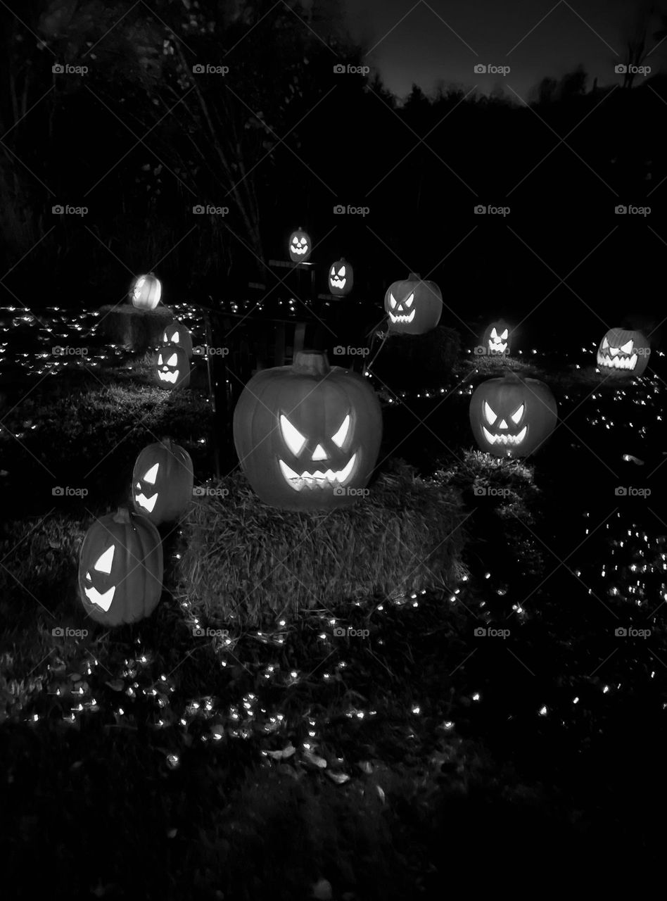 Illuminated pumpkins...