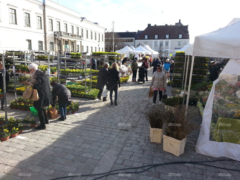 Market day
