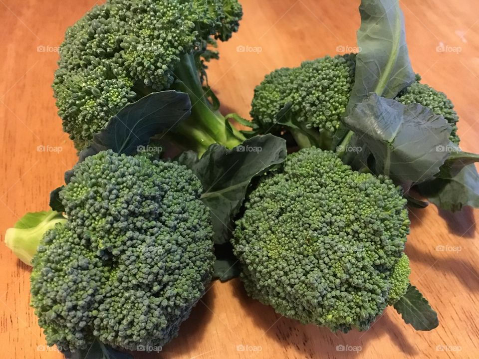 Broccoli Harvest
