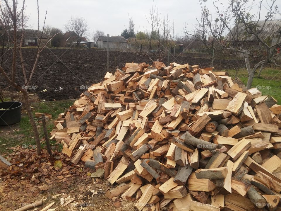 Firewood, Log, Tree Log, Pile, Industry