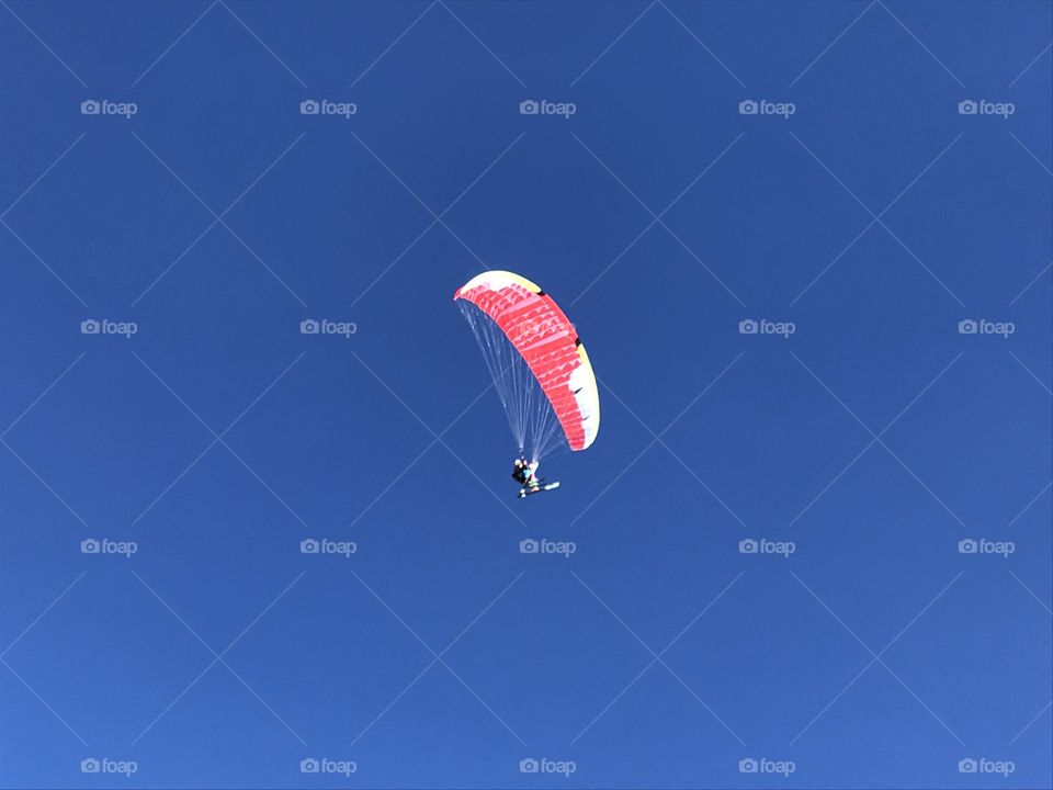 Paraglider