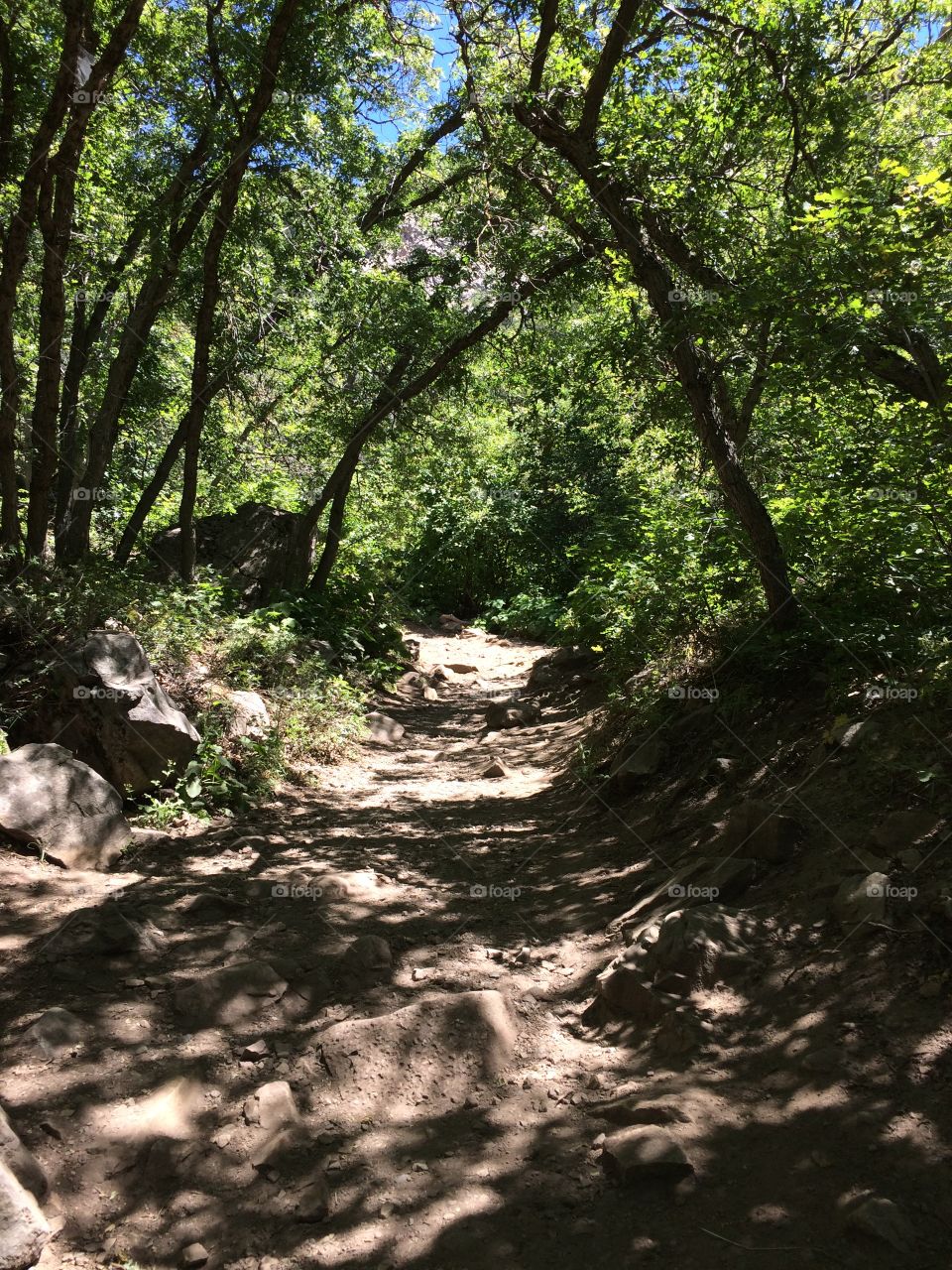 Hiking trail 