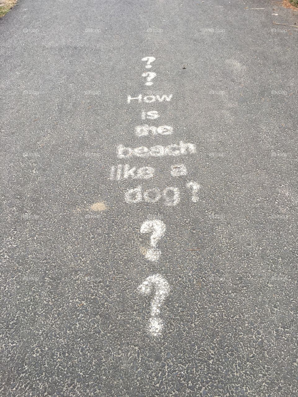 Because it has fleas.