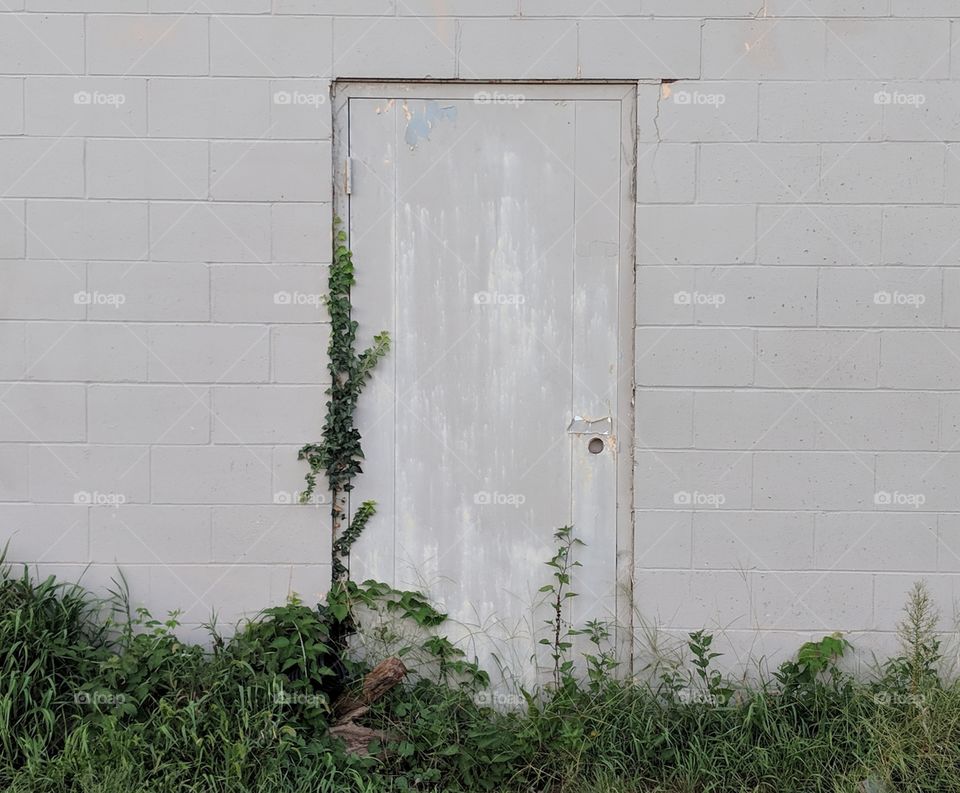 A Door to Somewhere