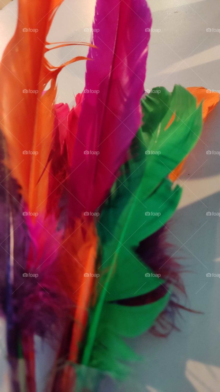 colourful rainbow artificial bird feathers