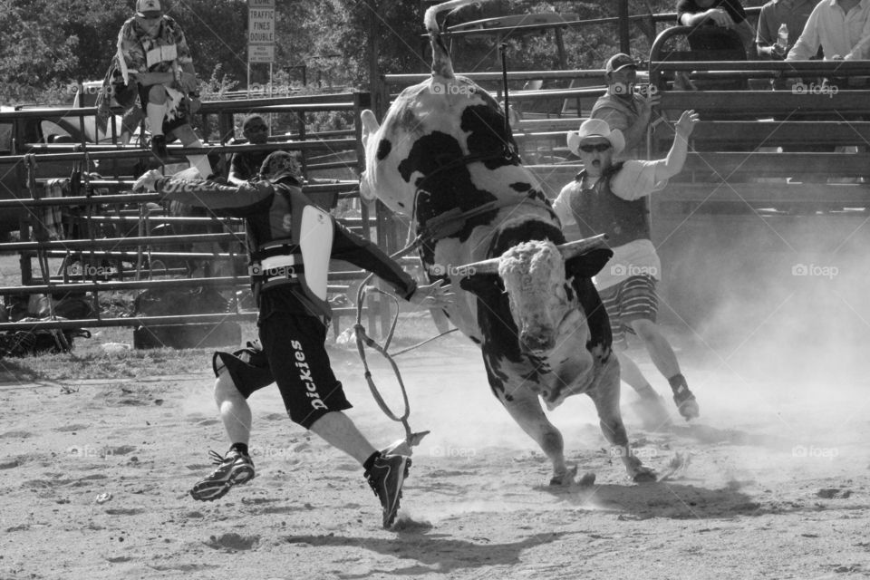 Bullfighting vs. Bull