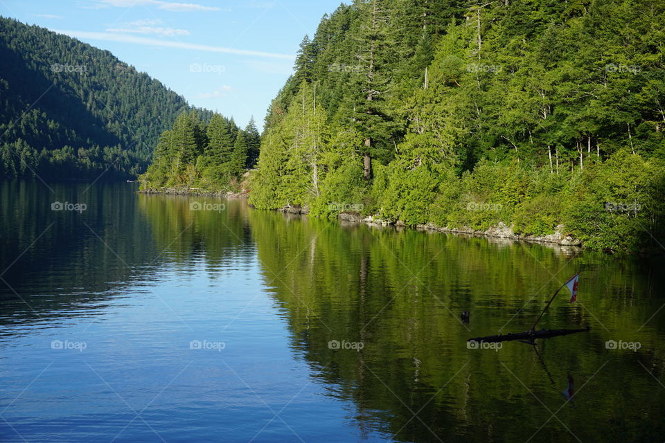 Stopped for a shot of this lake driving to Tofino, Vancouver Island