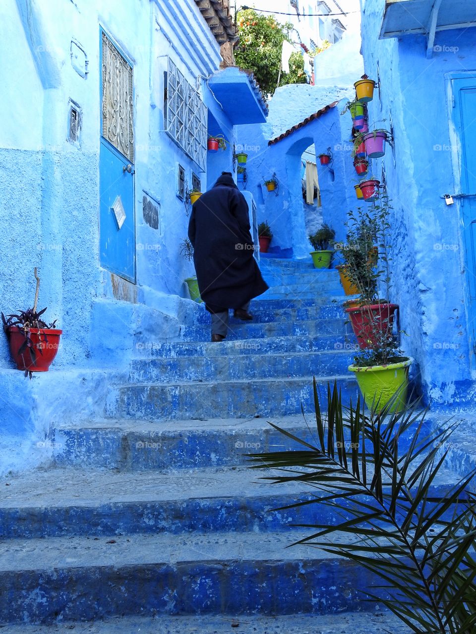 Man walking the stairs 