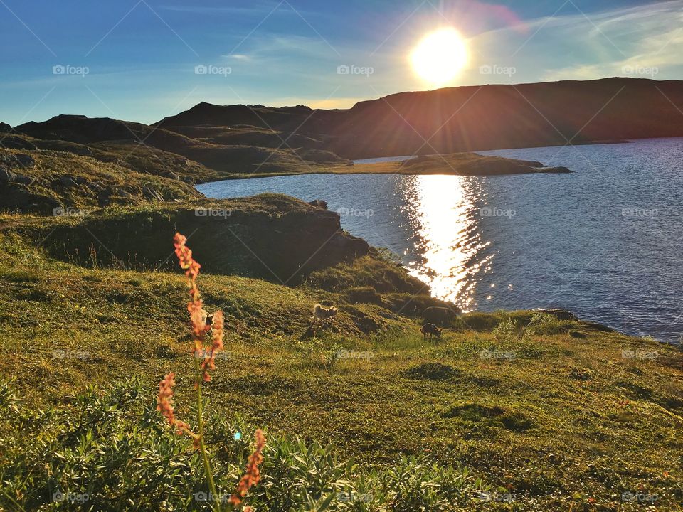 Beautiful mountain hike in Narvik -  kopparfjellvannet 