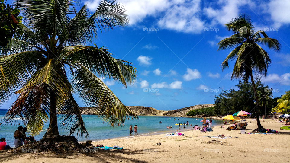 Jobos Beach Isabela PR