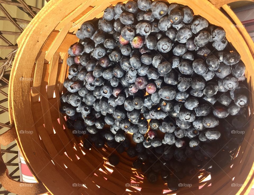 Basket of blueberries