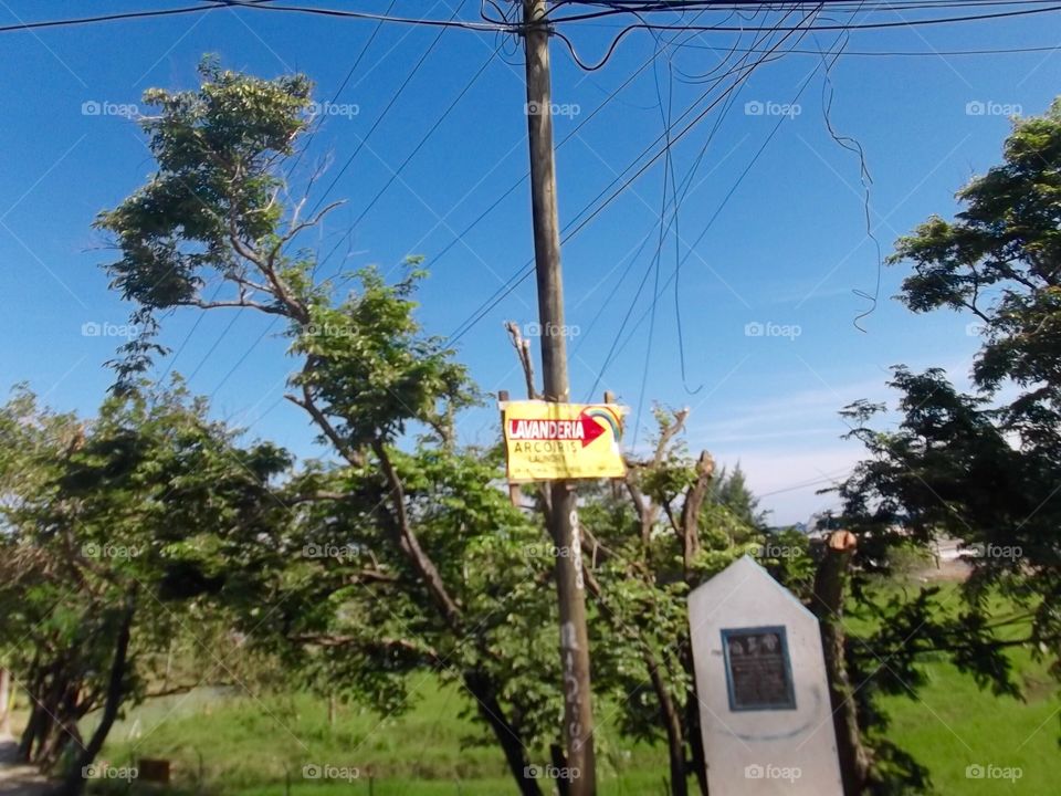 Photo from moving car traveling in Roatan, Honduras