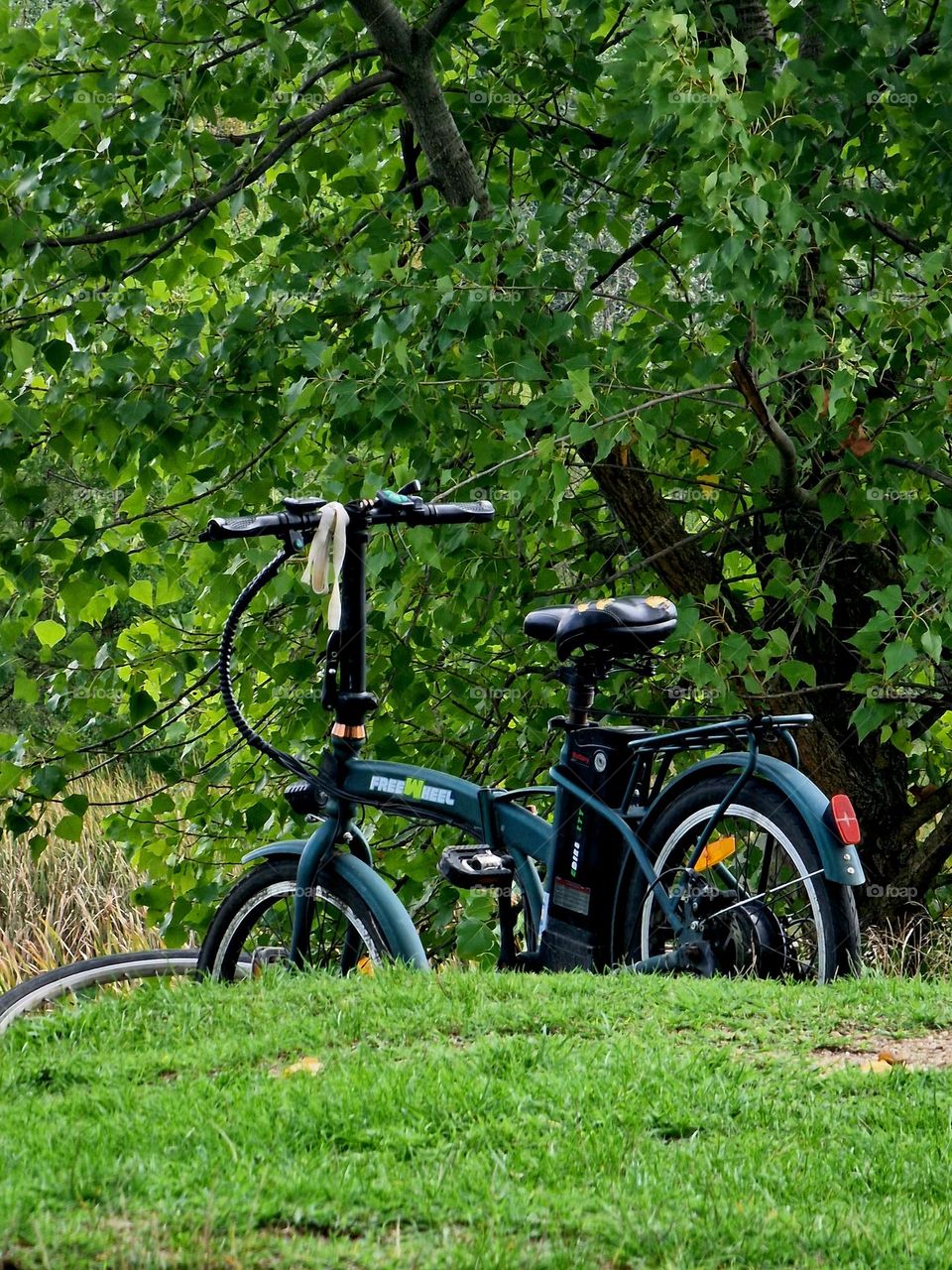 bicycle in nature