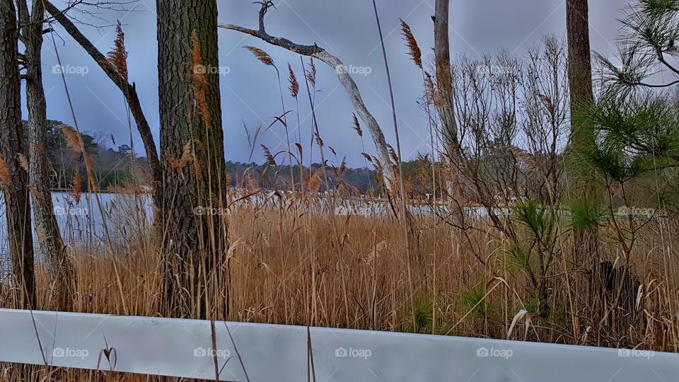 Checking Out The River