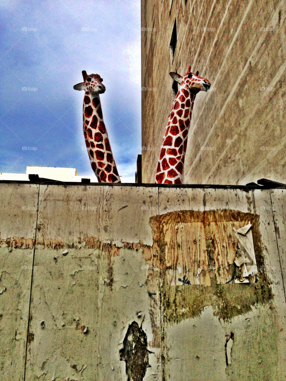 urban street art construction site giraffe by paul.reilly546