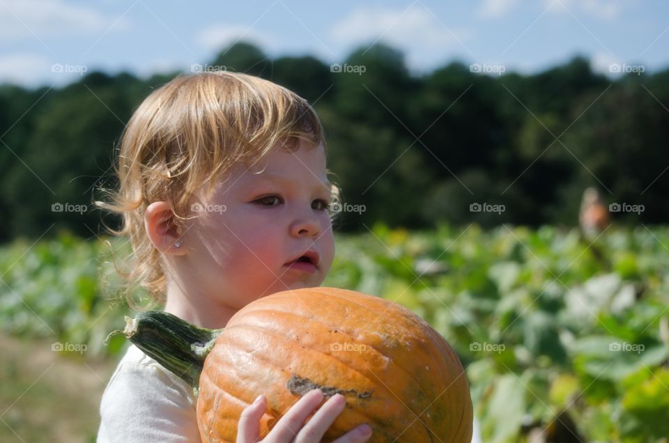 fun on the farm