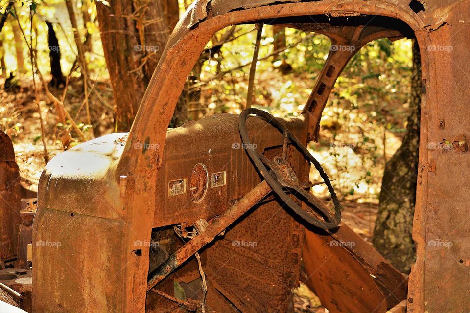 Abandoned vehicle in the woods from an old farm taken when Tellico lake was formed. Many farms and other properties seized unnecessary during construction of Tellico Dam.