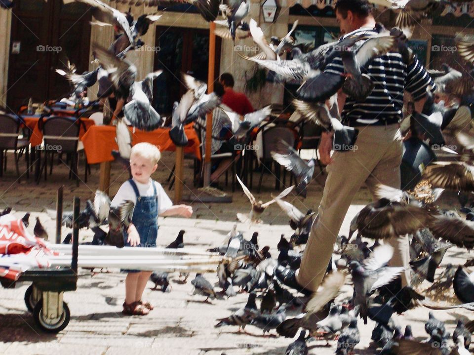 A boy playing with pigeon birds In the street