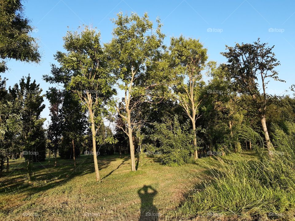 a shadow at the country while taking a photo