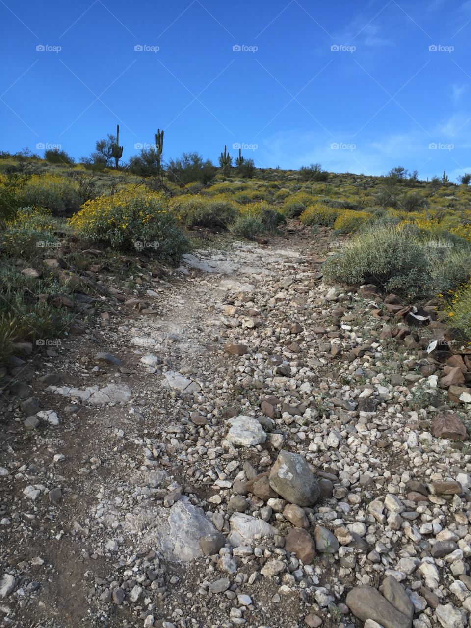 Rock trail in desert.
