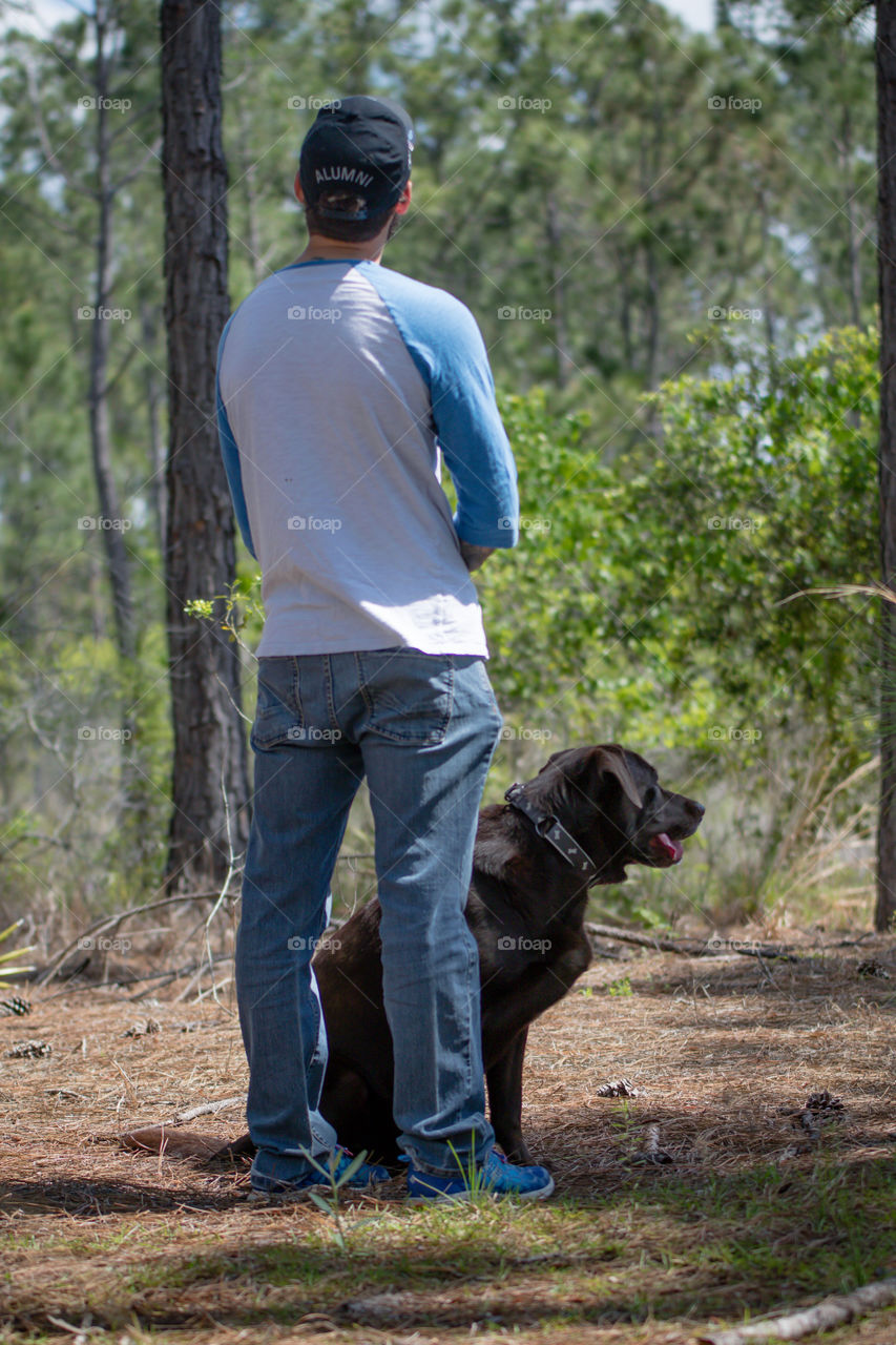 Pet time walk on trail with chocolate lab looking out