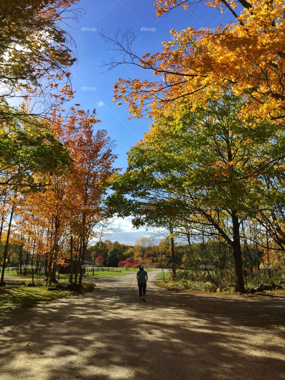 Pretty fall colors. Pretty Autumn day 