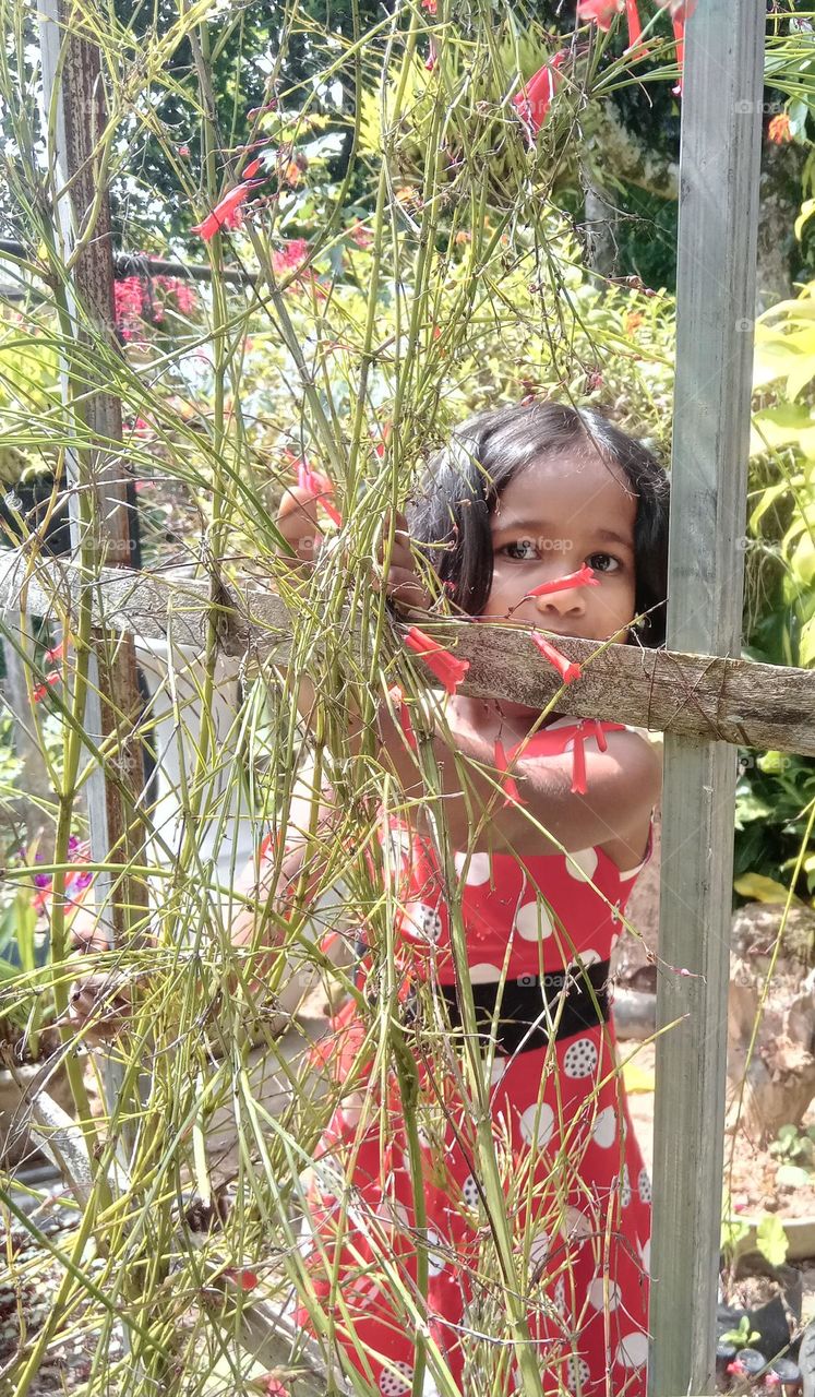 natural environment and the girl ...