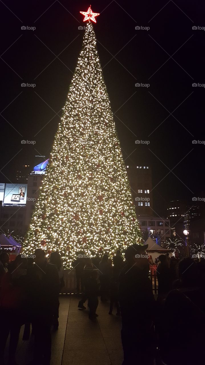 Sam Francisco, Christmas, Union Square, Christmas tree, crowds, holiday, night,
