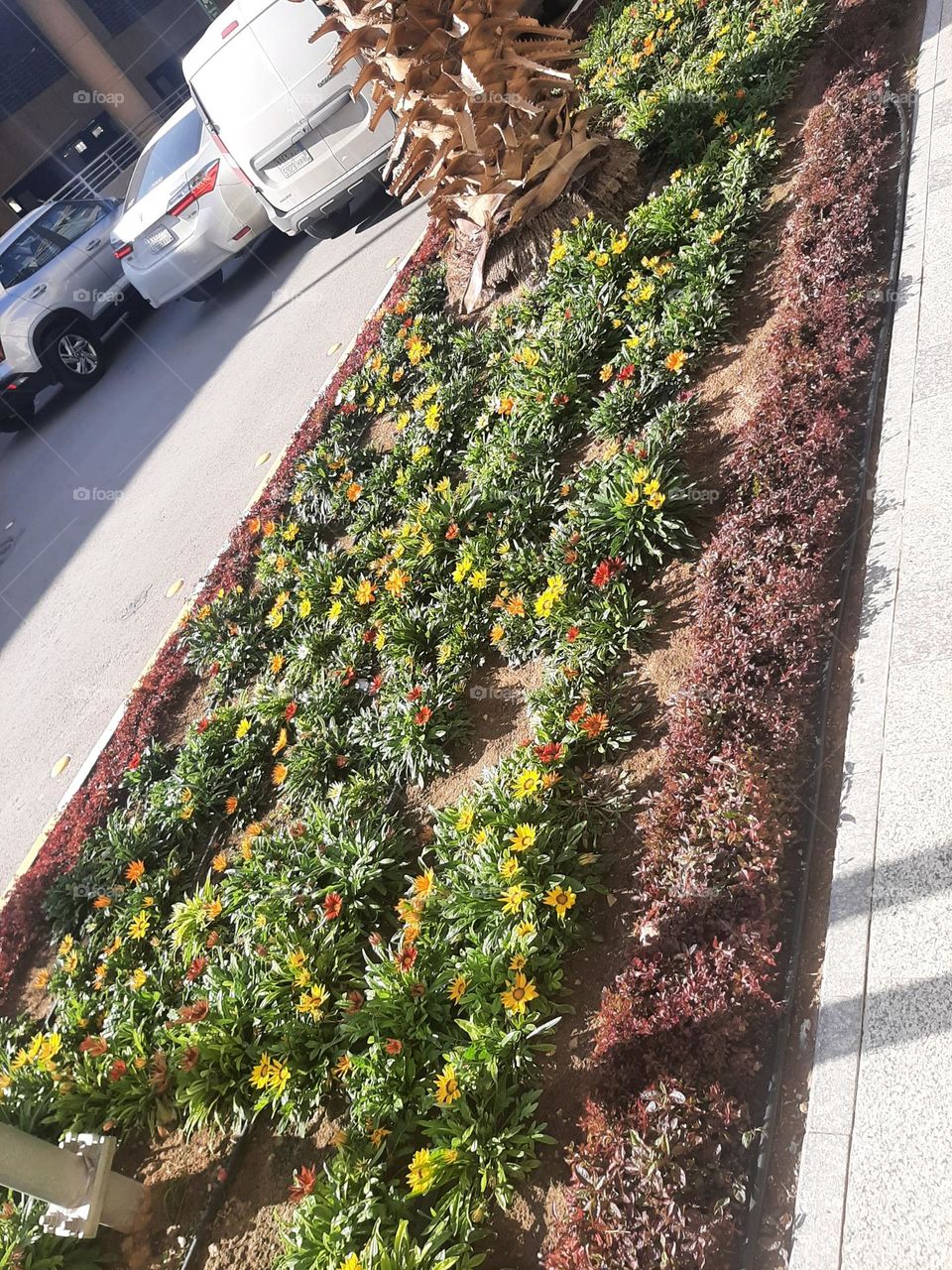 Please help me, I am very poor, I need your support and God is in need