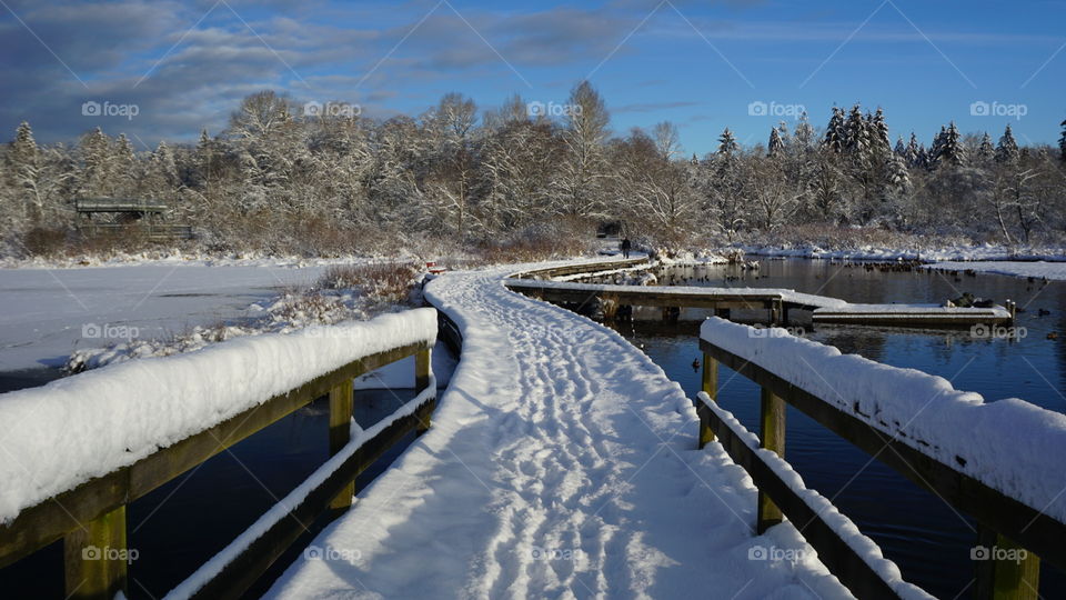 Snow at Burnaby Lake, BC