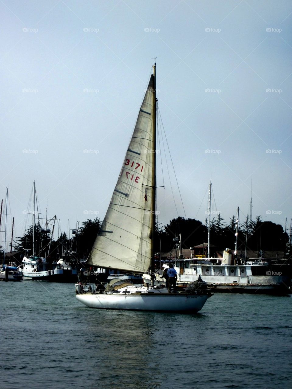 Sailboat 