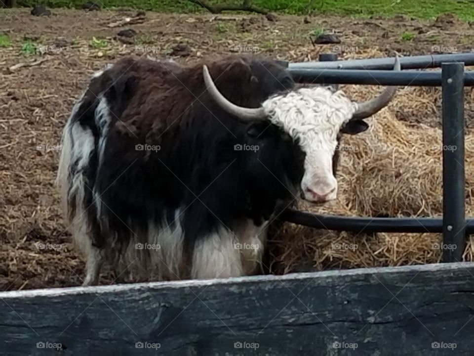 Driving the Back Roads and enjoying everything around us