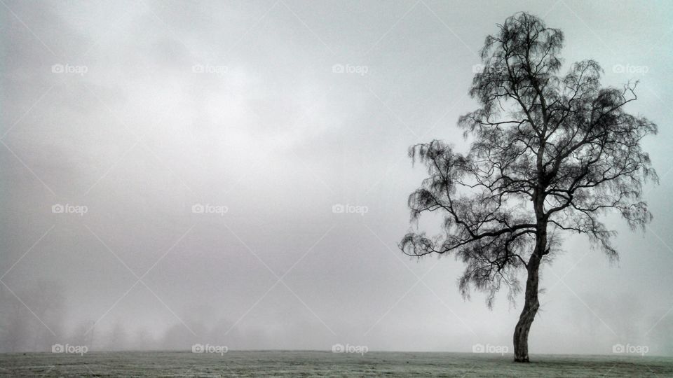 Fog, Water, Mist, Landscape, Nature