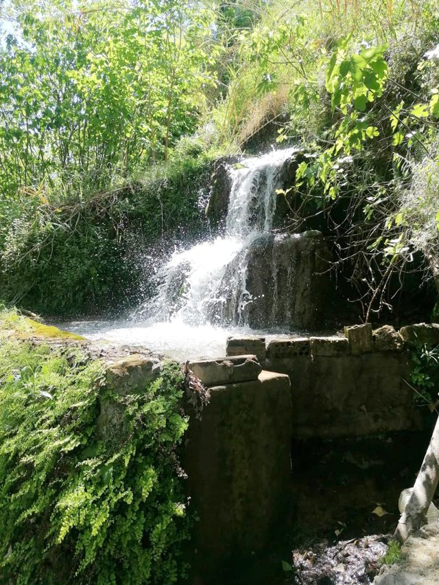 nature