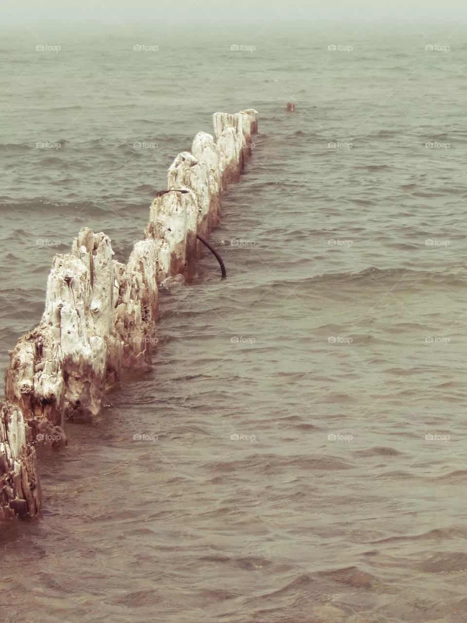 Old logs in Lake Superior 